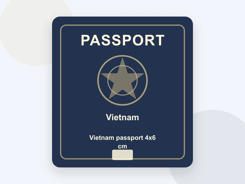 Vietnam passport 4x6 cm document illustration
