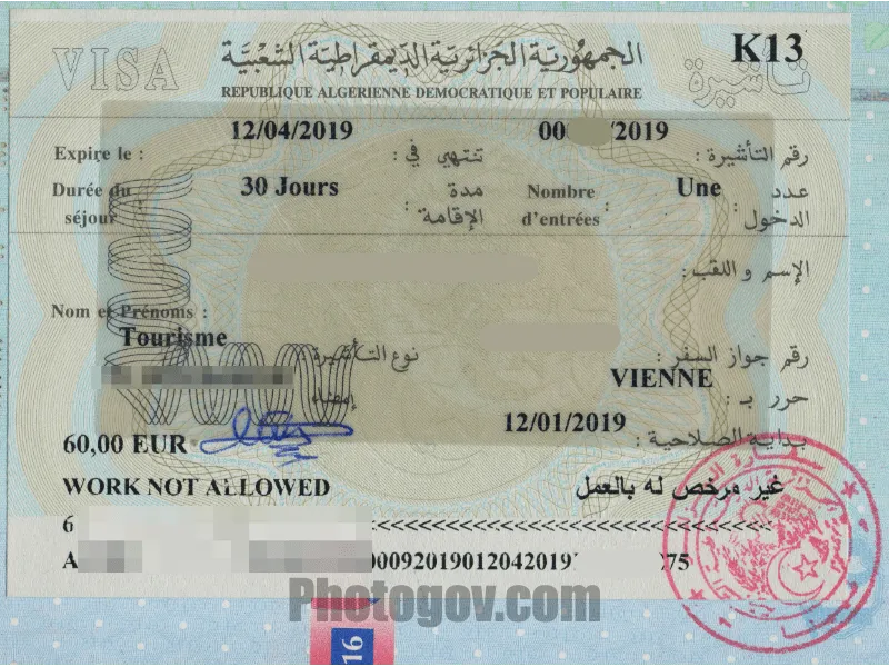 Algeria visa photo 35x45 mm (3.5x4.5 cm) Algeria visa photo 35x45 mm (3.5x4.5 cm) mockup